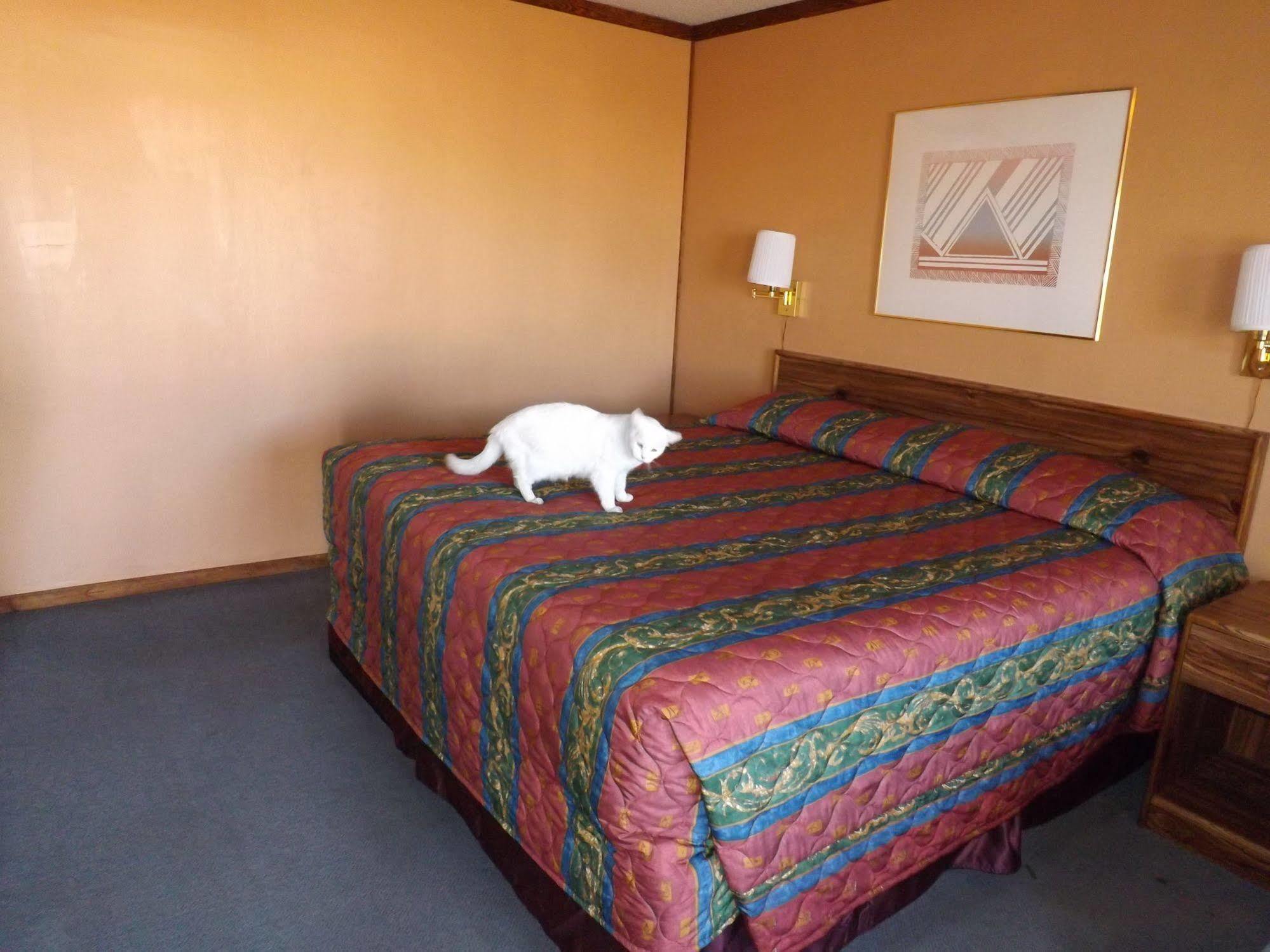 Tristar Inn Xpress Tucumcari Buitenkant foto